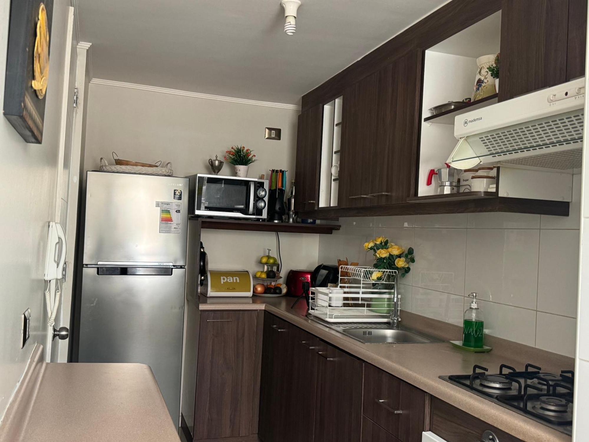 Decher Apartment - Пуэрто-Варас Экстерьер фото